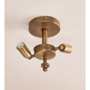 Flavia Flush Light