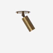 Adjustable Brass Cylinder Ceiling Spotlight, 5-Inch Shade