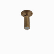 Adjustable Brass Cylinder Ceiling Spotlight, 5-Inch Shade