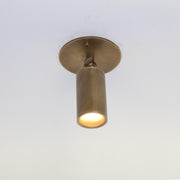 Adjustable Brass Cylinder Ceiling Spotlight with Frosted Glass Lens