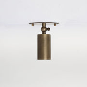 Adjustable Brass Cylinder Ceiling Spotlight with Frosted Glass Lens