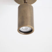 Adjustable Brass Cylinder Spotlight with Flush Ceiling Plate
