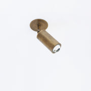 Adjustable Brass Spotlight Ceiling Light, 5-1/2 Inch Shade