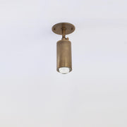 Adjustable Brass Spotlight Ceiling Light, 5-1/2 Inch Shade