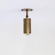 Adjustable Brass Spotlight Ceiling Light, 5-1/2 Inch Shade