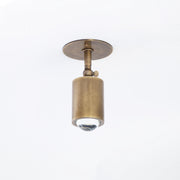 Adjustable Brass Spotlight Ceiling Light with Clear Lens, 4-Inch Shade