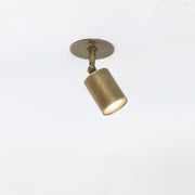 Adjustable Brass Spotlight Ceiling Light with Frosted Lens, 4 or 5-Inch Shade