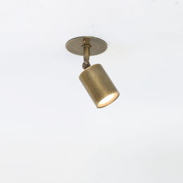 Adjustable Brass Spotlight Ceiling Light with Frosted Lens, 4 or 5-Inch Shade