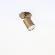Adjustable Brass Spotlight Ceiling Light with Frosted Lens, 4 or 5-Inch Shade