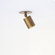 Adjustable Brass Spotlight Ceiling Light with Frosted Lens, 4 or 5-Inch Shade