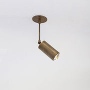 Adjustable Brass Spotlight on Drop Rod