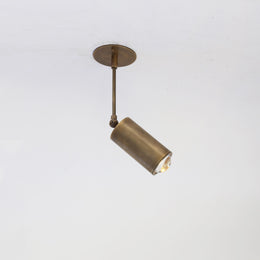 Adjustable Brass Spotlight on Drop Rod, Clear Lens