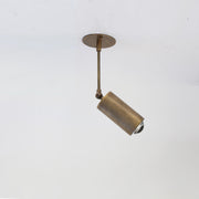 Adjustable Brass Spotlight on Drop Rod, Clear Lens