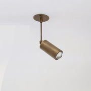 Adjustable Brass Spotlight on Drop Rod, Clear Lens