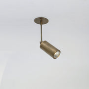 Adjustable Brass Spotlight on Drop Rod