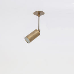 Adjustable Brass Spotlight on Drop Rod, Frosted Lens