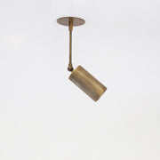 Adjustable Brass Spotlight on Drop Rod, Frosted Lens