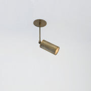 Adjustable Brass Spotlight on Drop Rod