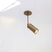 Adjustable Brass Spotlight on Drop Rod