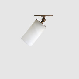 Adjustable Ceiling Spotlight with Alabaster Cylinder Shade