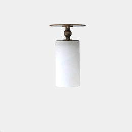 Adjustable Ceiling Spotlight with Alabaster Cylinder Shade