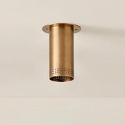 Berg Flush Mount - Designer Perforated Steel Downlight
