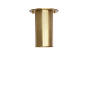 Brass Cylinder Ceiling Spotlight