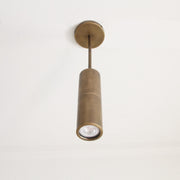 Brass Cylinder Ceiling Spotlight on Drop-Down Arm
