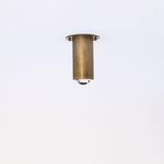 Brass Cylinder Ceiling Spotlight with Frosted Glass Lens