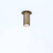 Brass Cylinder Ceiling Spotlight with Frosted Glass Lens