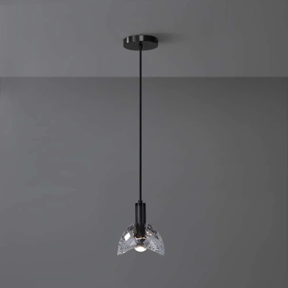 clear-glass-pendant-light-in-black-1