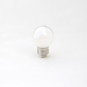 G16.5 Opal Glass Replacement Bulb with E26 Base