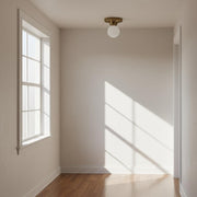 Globe Flush Mount Ceiling Light