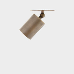 One-Light Adjustable Brass Cylinder Ceiling Spotlight