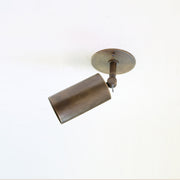 One-Light Adjustable Brass Cylinder Ceiling Spotlight