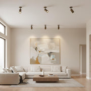 One-Light Adjustable Brass Cylinder Ceiling Spotlight