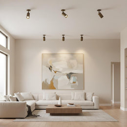 One-Light Adjustable Brass Cylinder Ceiling Spotlight