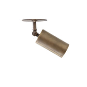 One-Light Adjustable Brass Cylinder Ceiling Spotlight