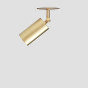 One-Light Adjustable Brass Cylinder Ceiling Spotlight