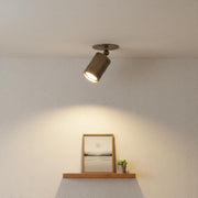 One-Light Adjustable Brass Cylinder Ceiling Spotlight