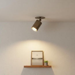 One-Light Adjustable Brass Cylinder Ceiling Spotlight