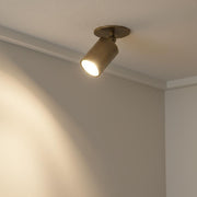 One-Light Adjustable Brass Cylinder Ceiling Spotlight