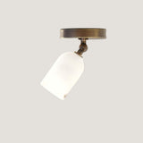 One-Light Adjustable Ceiling Spotlight with Alabaster Shade