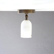 One-Light Adjustable Ceiling Spotlight with Alabaster Shade