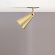 One-Light Adjustable Cone Ceiling Spotlight