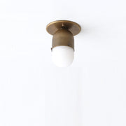One-Light Brass Wall or Ceiling Light with Alabaster Shade