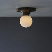 One-Light Globe Flush Mount Ceiling Light