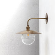 One-Light Gooseneck Wall Sconce with Clear Glass Globe
