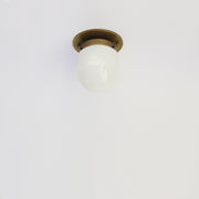 One-Light Mini Glass Shade Flush Mount Ceiling Light