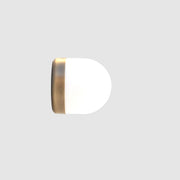 One-Light Opal Globe Flush Mount Ceiling Light